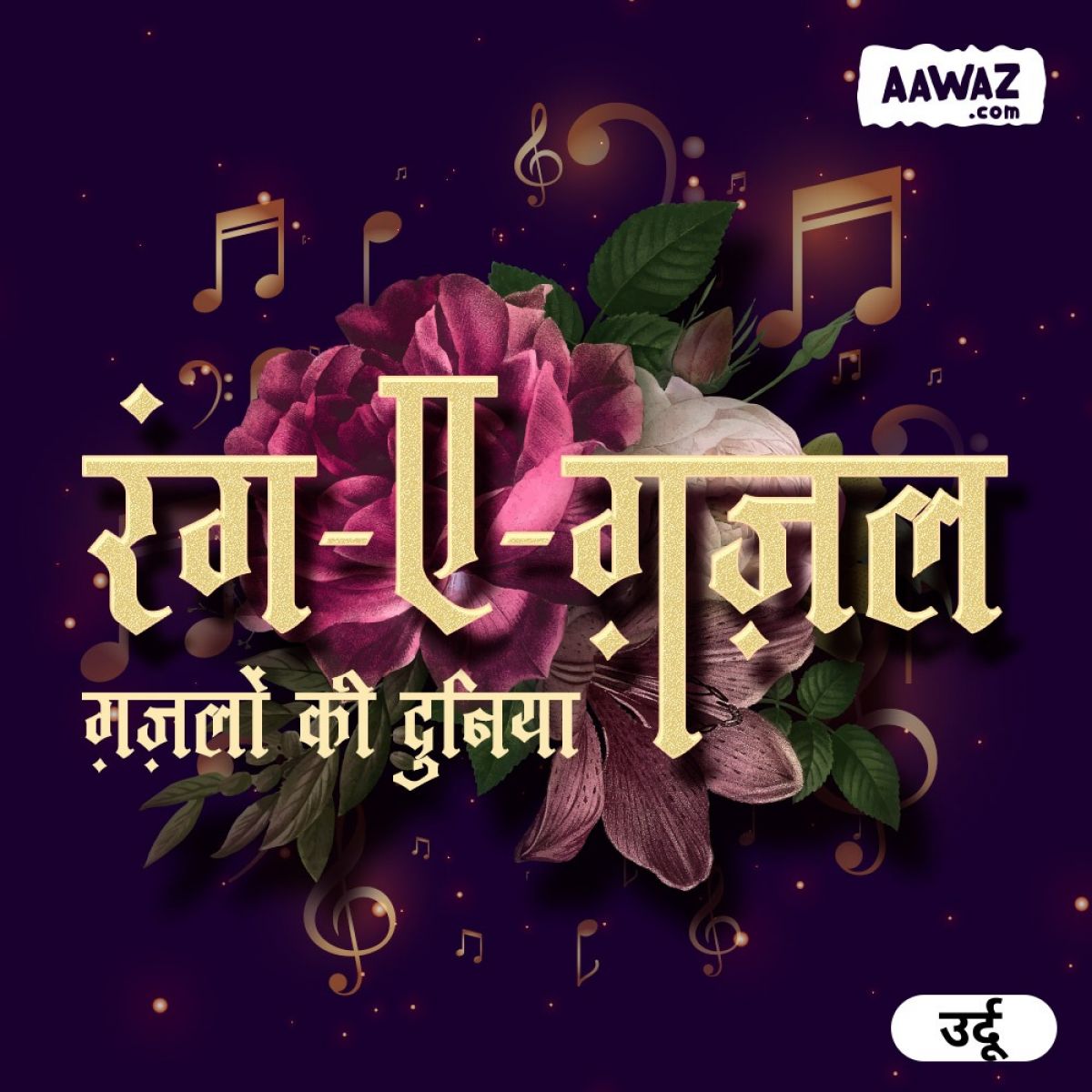 aawaz.com ऑडियो का अपना उर्दू संस्करण लॉन्च किया